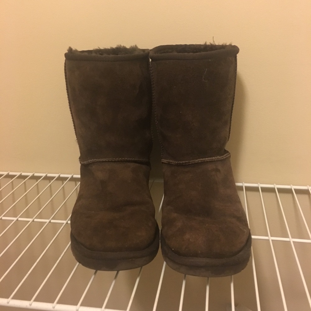 Chocolate short uggs